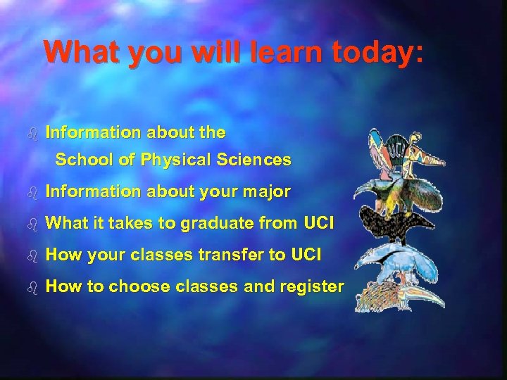 What you will learn today: b Information about the School of Physical Sciences b