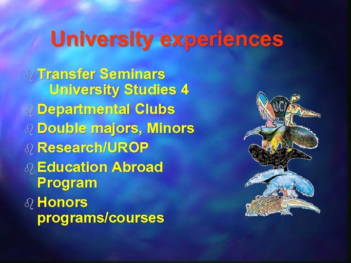University experiences b Transfer Seminars University Studies 4 b Departmental Clubs b Double majors,