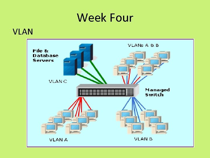 Week Four VLAN 