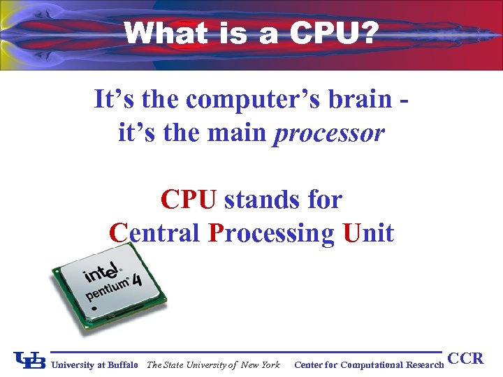 What is a CPU? It’s the computer’s brain it’s the main processor CPU stands