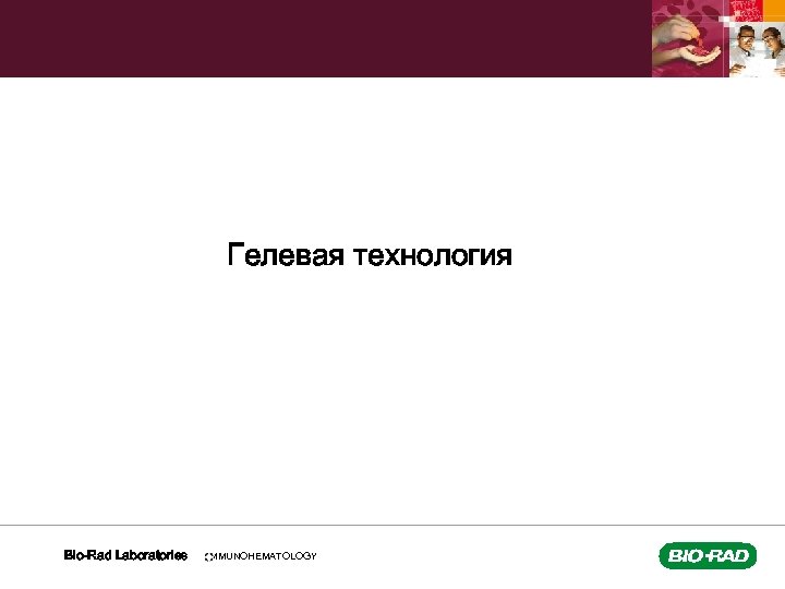 Гелевая технология Bio-Rad Laboratories IMMUNOHEMATOLOGY 