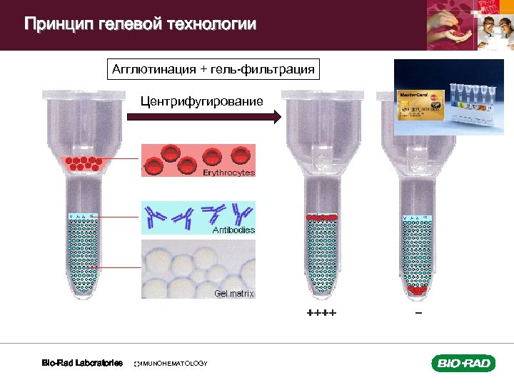 Метод гель фильтрации