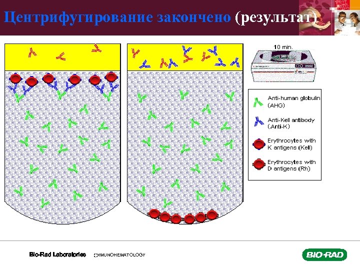 Центрифугирование закончено (результат) Bio-Rad Laboratories IMMUNOHEMATOLOGY 