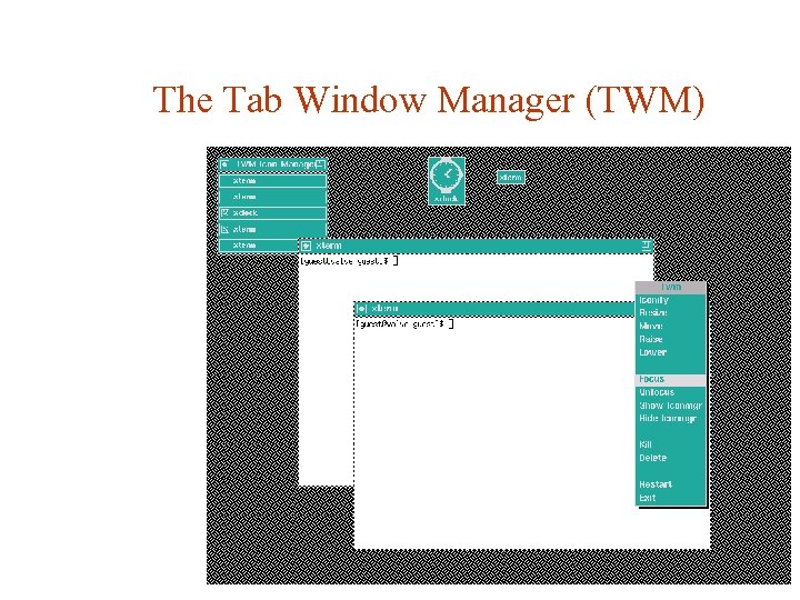 The Tab Window Manager (TWM) 