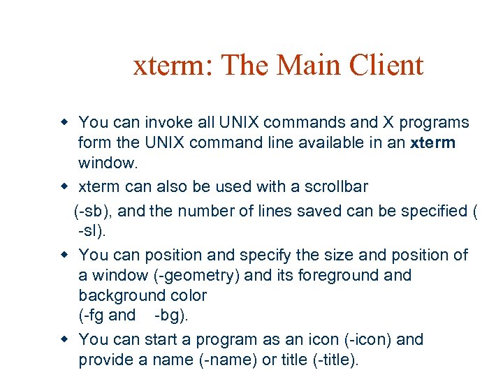 xterm: The Main Client w You can invoke all UNIX commands and X programs