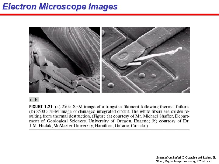 Electron Microscope Images (Images from Rafael C. Gonzalez and Richard E. Wood, Digital Image