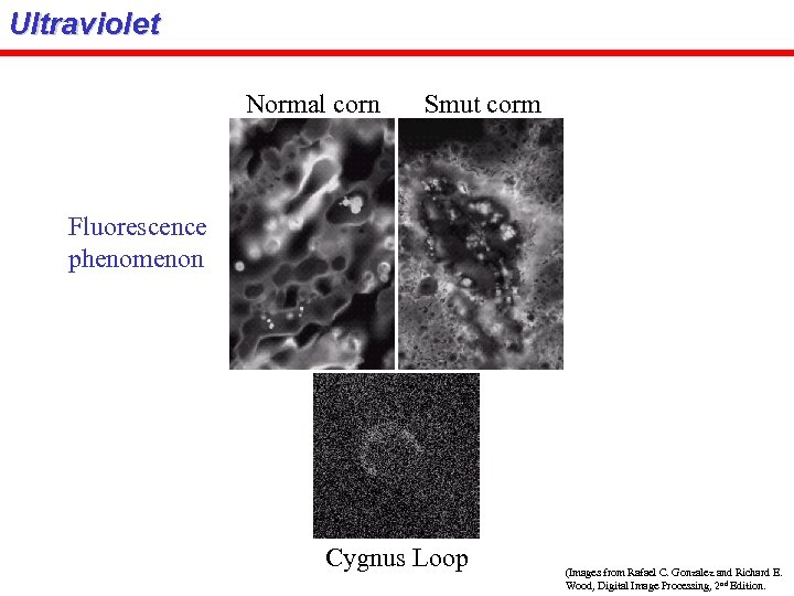 Ultraviolet Normal corn Smut corm Fluorescence phenomenon Cygnus Loop (Images from Rafael C. Gonzalez