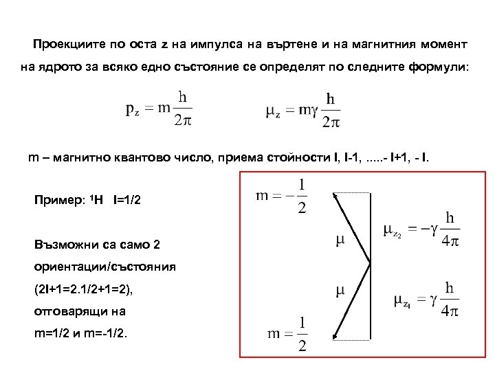 Проекциите по оста z на импулса на въртене и на магнитния момент на ядрото