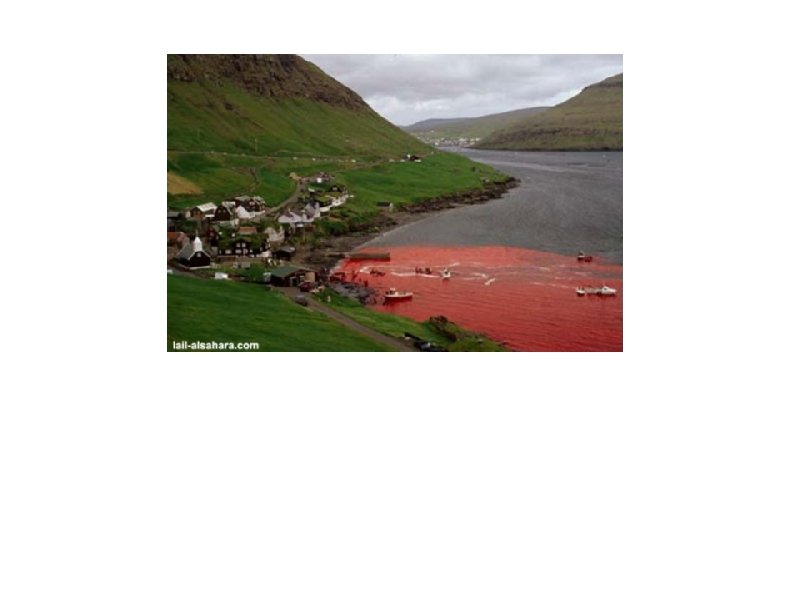 World SHAME. . . keep list going around the world. . Миру СТЫДНО. .