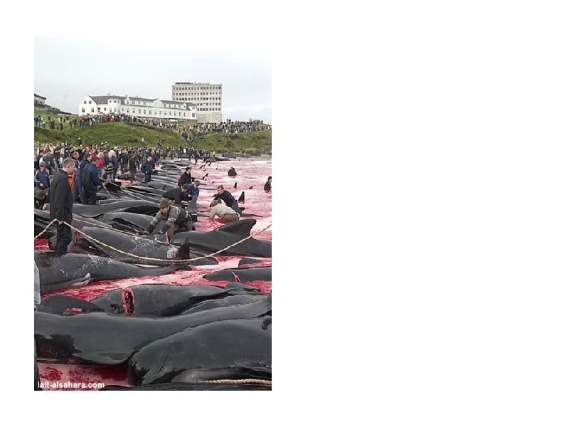 Its enough! We will send this mail until this email arrives in any association