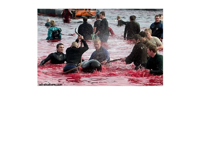 Take care of the world, it is your home!!! Подумайте о нашей планете, это