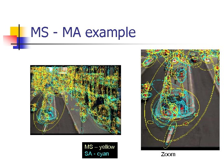 MS - MA example MS – yellow SA - cyan Zoom 
