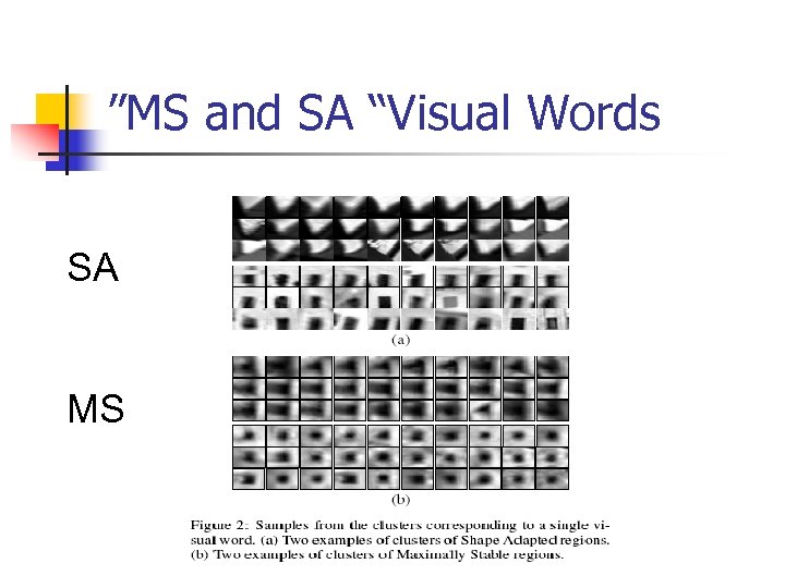 ”MS and SA “Visual Words SA MS 