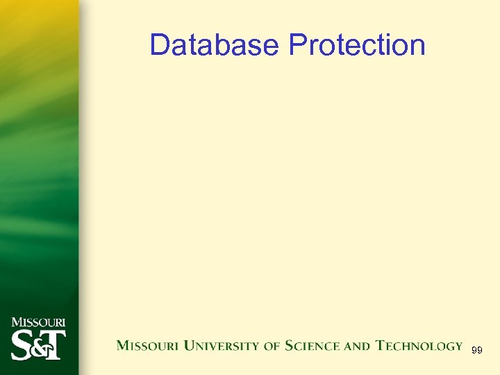 Database Protection 99 