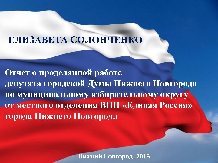 ЕЛИЗАВЕТА СОЛОНЧЕНКО Отчет о проделанной работе депутата городской Думы Нижнего Новгорода по муниципальному избирательному