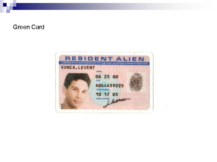 Green Card 
