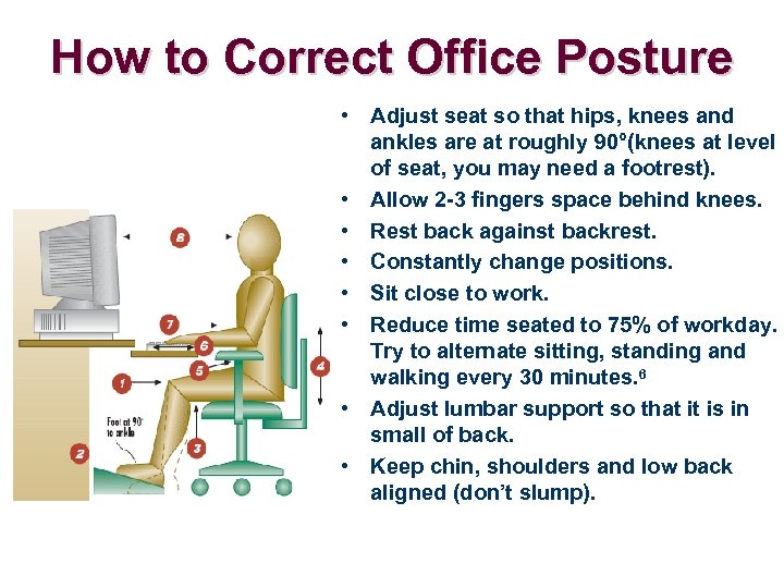 How to Correct Office Posture • Adjust seat so that hips, knees and ankles