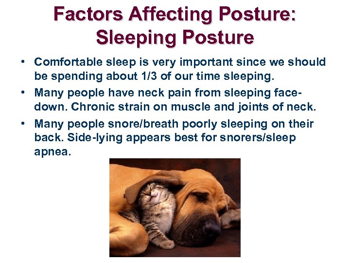 Factors Affecting Posture: Sleeping Posture • Comfortable sleep is very important since we should