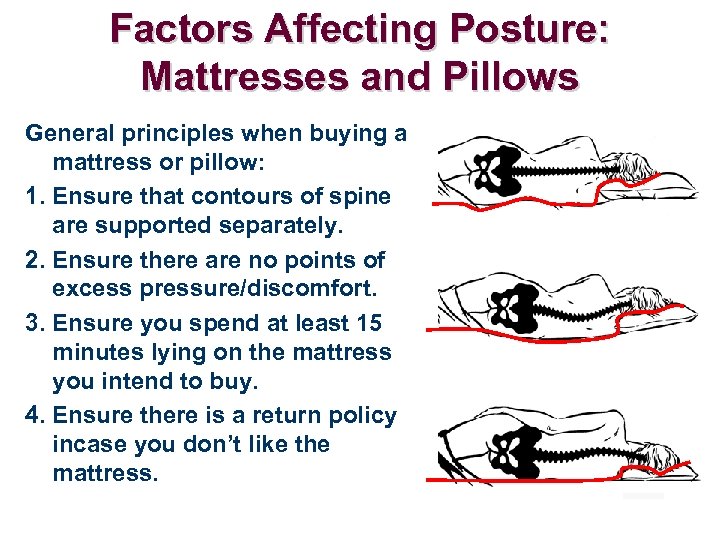 Factors Affecting Posture: Mattresses and Pillows General principles when buying a mattress or pillow: