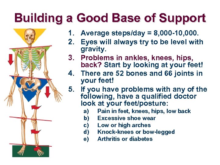 Building a Good Base of Support 1. Average steps/day = 8, 000 -10, 000.