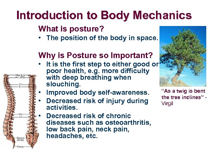 Introduction to Body Mechanics What is posture? • The position of the body in