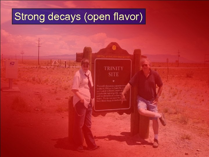 Strong decays (open flavor) 