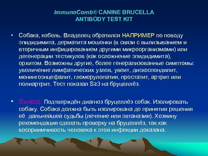 Immuno. Comb® CANINE BRUCELLA ANTIBODY TEST KIT • Собака, кобель. Владелец обратился НАПРИМЕР по