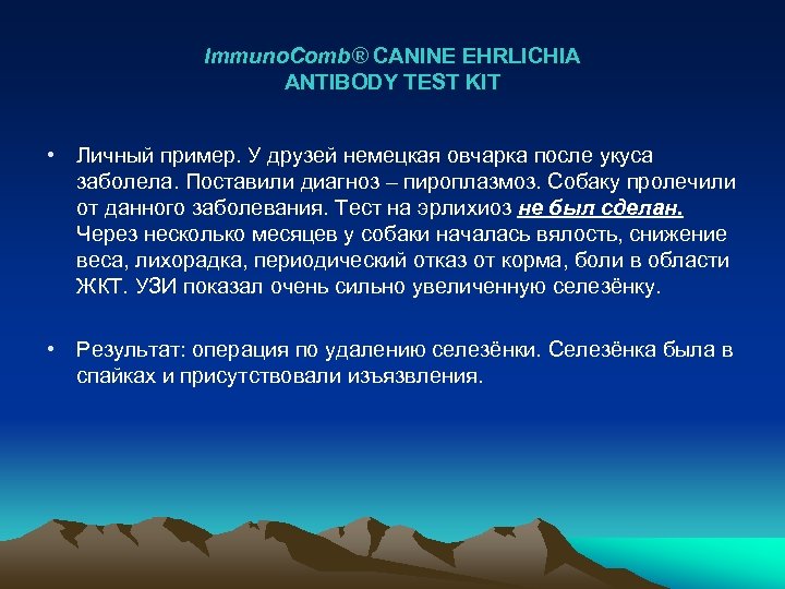 Immuno. Comb® CANINE EHRLICHIA ANTIBODY TEST KIT • Личный пример. У друзей немецкая овчарка