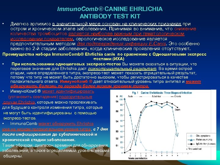 Immuno. Comb® CANINE EHRLICHIA ANTIBODY TEST KIT • Диагноз эрлихиоз в значительной мере основан