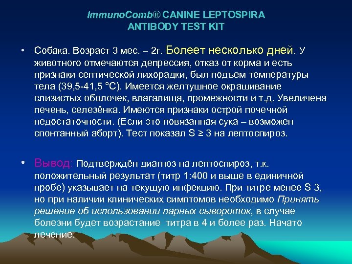 Immuno. Comb® CANINE LEPTOSPIRA ANTIBODY TEST KIT • Собака. Возраст 3 мес. – 2