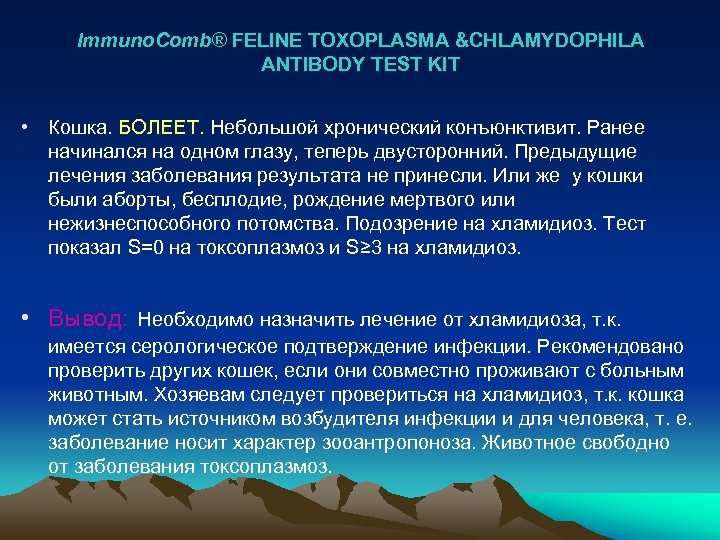 Immuno. Comb® FELINE TOXOPLASMA &CHLAMYDOPHILA ANTIBODY TEST KIT • Кошка. БОЛЕЕТ. Небольшой хронический конъюнктивит.