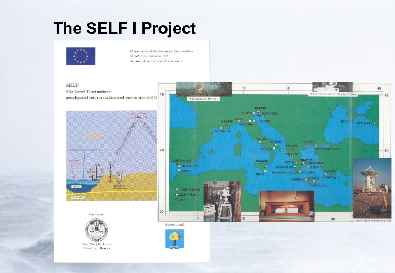 The SELF I Project 