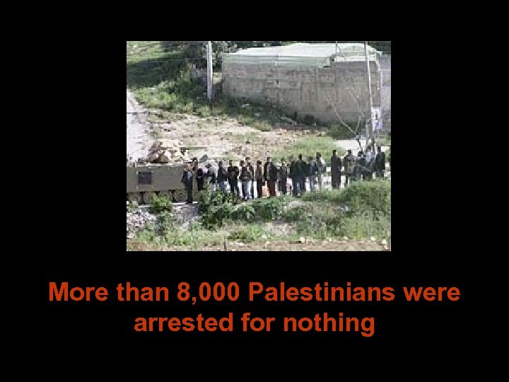 More than 8, 000 Palestinians were arrested for nothing 