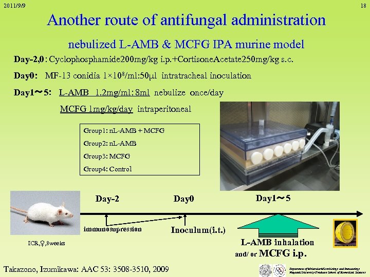 2011/9/9 18 Another route of antifungal administration nebulized L-AMB & MCFG IPA murine model