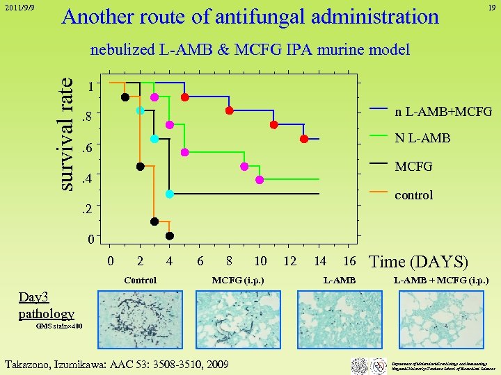 2011/9/9 Another route of antifungal administration 19 survival rate nebulized L-AMB & MCFG IPA