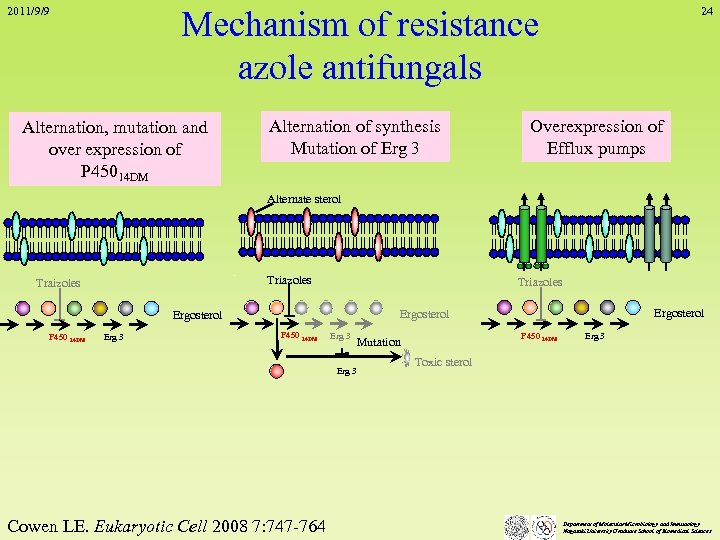 Mechanism of resistance azole antifungals 2011/9/9 Alternation, mutation and over expression of P 45014