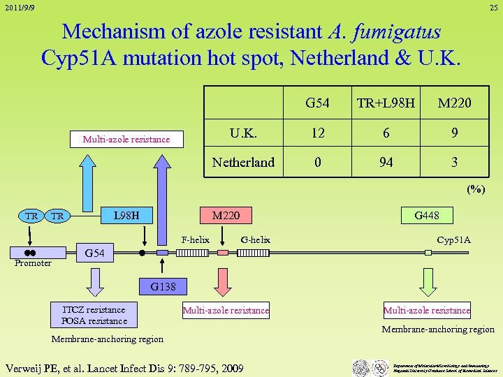 2011/9/9 25 Mechanism of azole resistant A. fumigatus Cyp 51 A mutation hot spot,