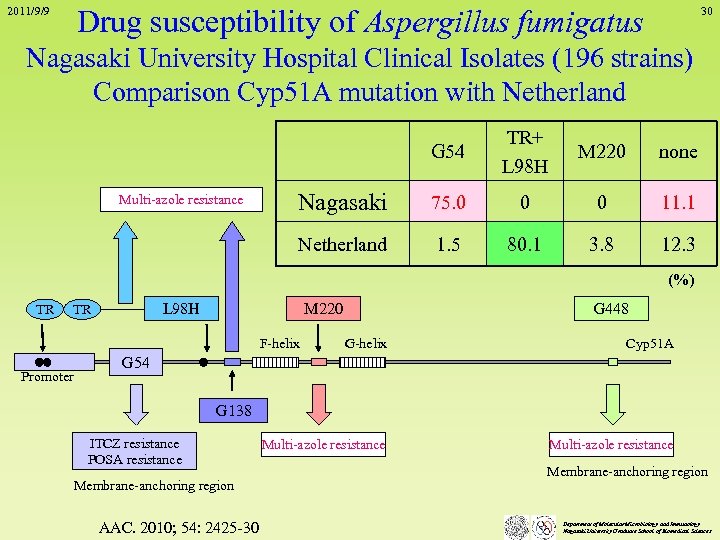 Drug susceptibility of Aspergillus fumigatus 2011/9/9 30 Nagasaki University Hospital Clinical Isolates (196 strains)