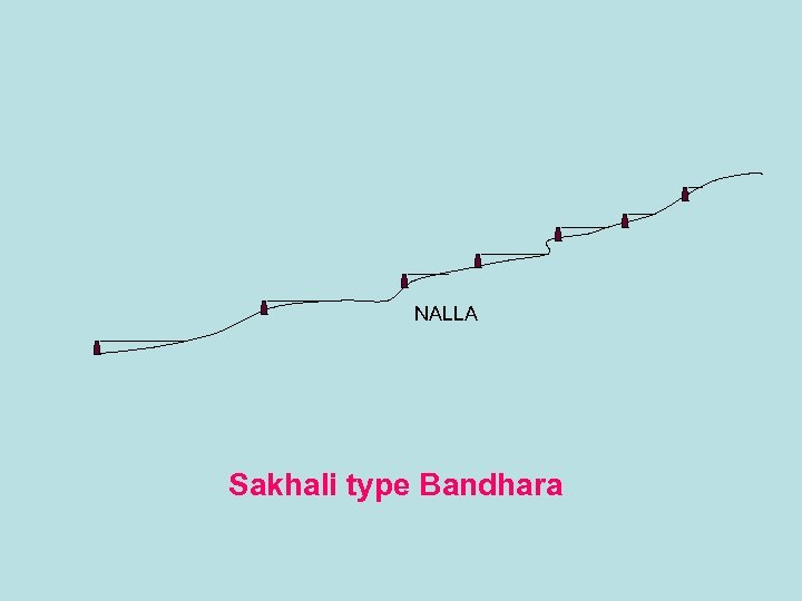 NALLA Sakhali type Bandhara 
