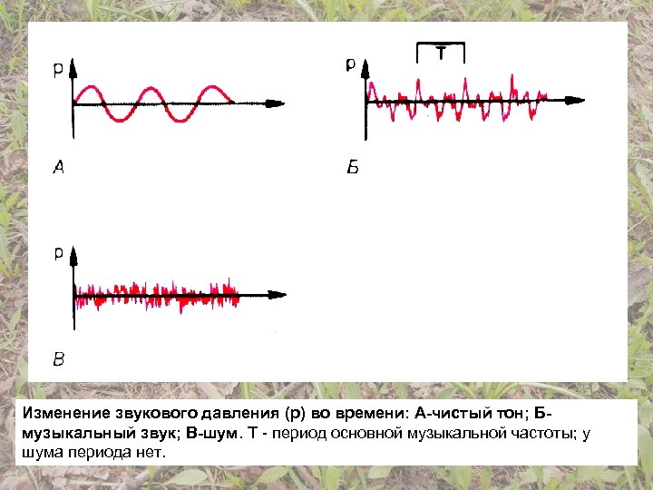 Изменение звукового давления (р) во времени: А-чистый тон; Бмузыкальный звук; В-шум. Т - период