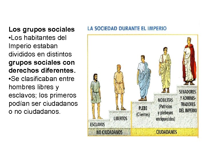 Los grupos sociales • Los habitantes del Imperio estaban divididos en distintos grupos sociales