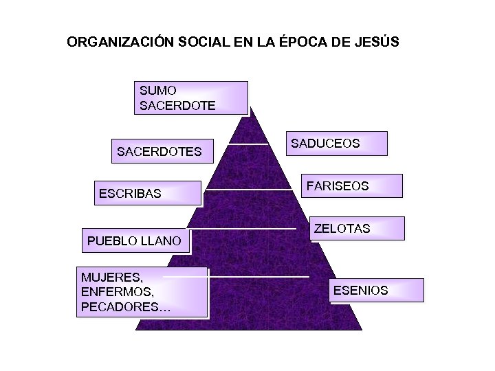 ORGANIZACIÓN SOCIAL EN LA ÉPOCA DE JESÚS SUMO SACERDOTES ESCRIBAS PUEBLO LLANO MUJERES, ENFERMOS,