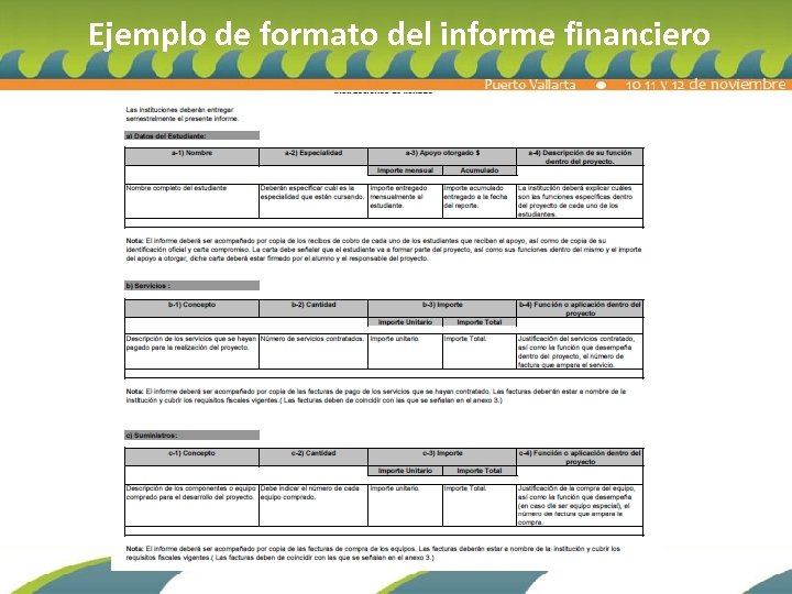  Ejemplo de formato del informe financiero 