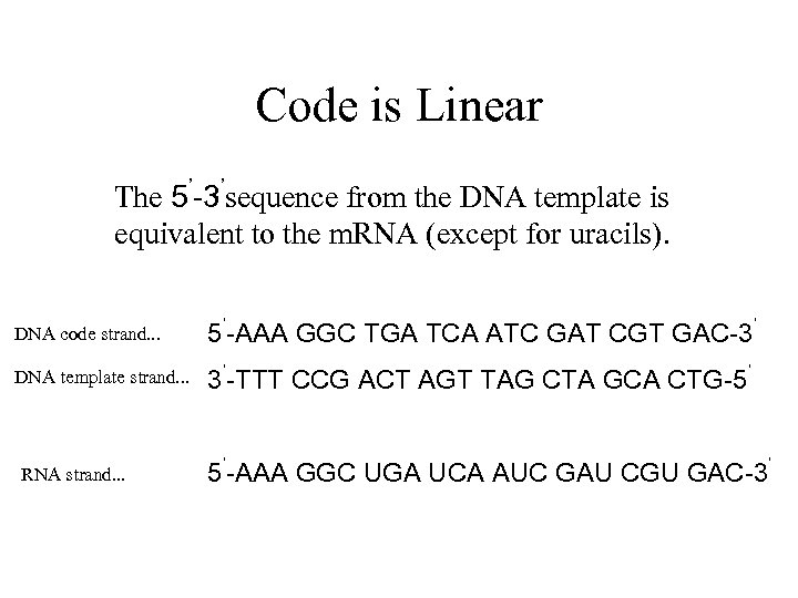 Code is Linear The 5’-3’sequence from the DNA template is equivalent to the m.