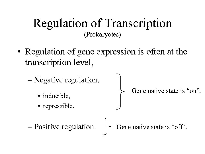 Regulation of Transcription (Prokaryotes) • Regulation of gene expression is often at the transcription