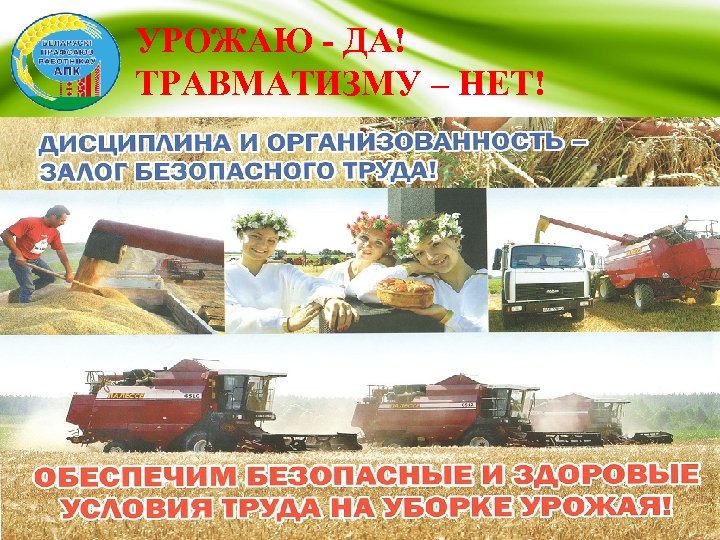 УРОЖАЮ - ДА! ТРАВМАТИЗМУ – НЕТ! 