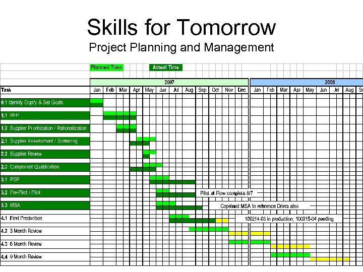 Skills for Tomorrow Project Planning and Management 