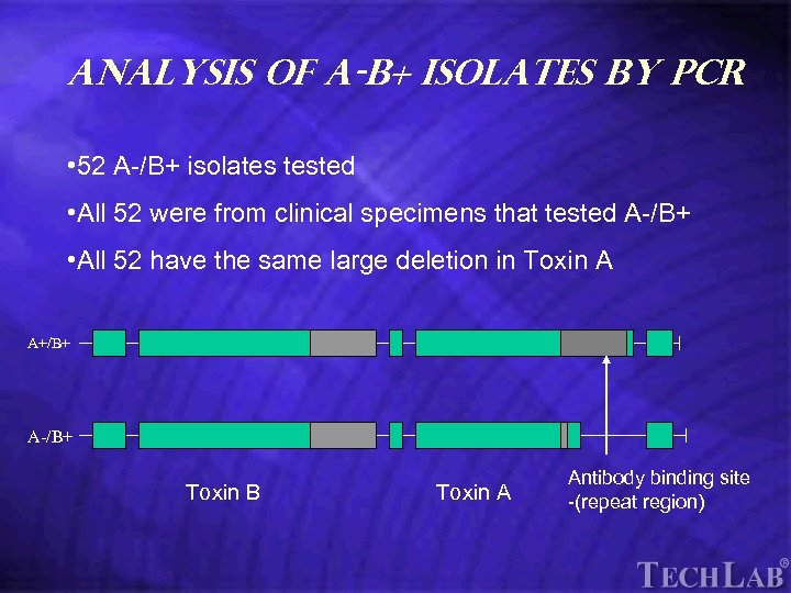 Tech. Lab Analysis of A-B+ isolates by PCR • 52 A-/B+ isolates tested •