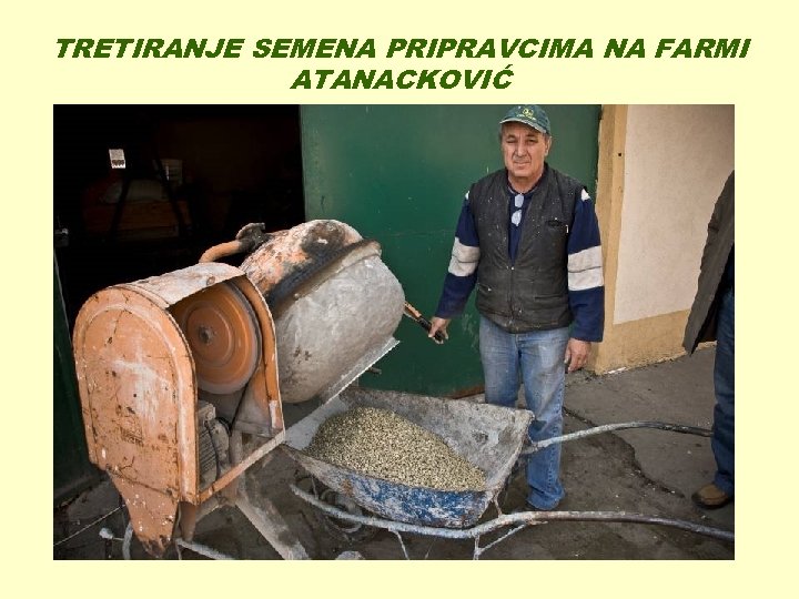 TRETIRANJE SEMENA PRIPRAVCIMA NA FARMI ATANACKOVIĆ 