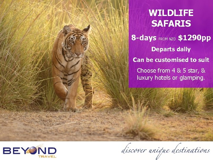 WILDLIFE SAFARIS 8 -days FROM NZD $1290 pp Departs daily Can be customised to